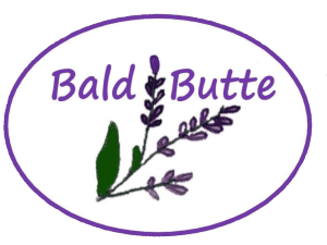 Bald Butte Lavender